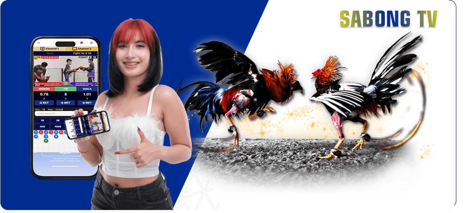 Sabong cock